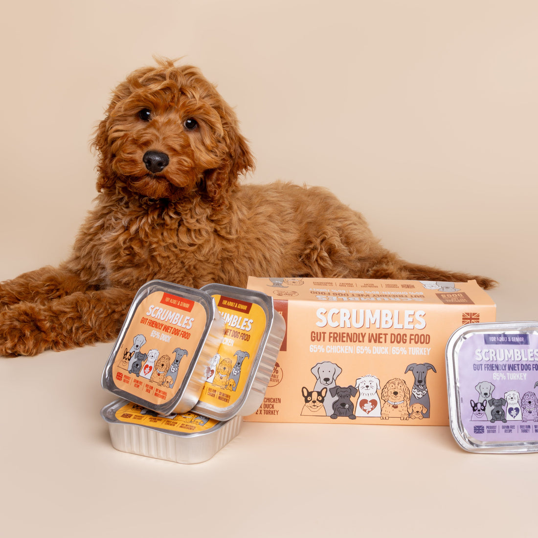 Gemischtes Nassfutter für Hunde