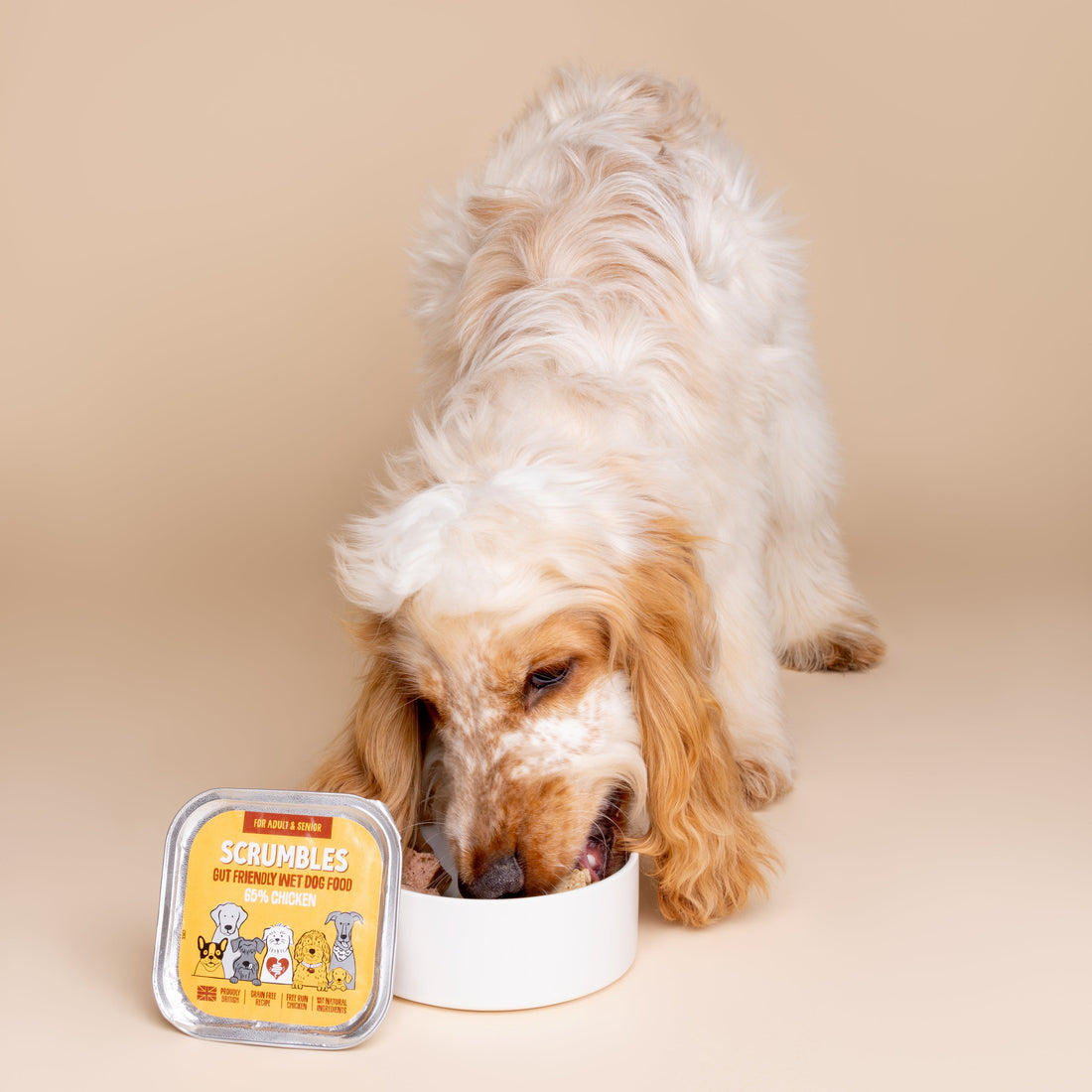 Nassfutter für Hunde mit Huhn