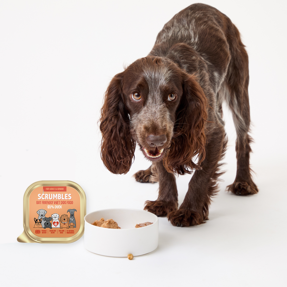 Entenfleisch-Nassfutter für Hunde